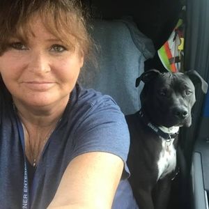 Meet your Posher, Ophelia